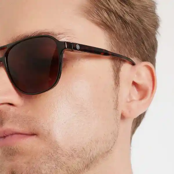 Barner Gafas Sun Brad Carey