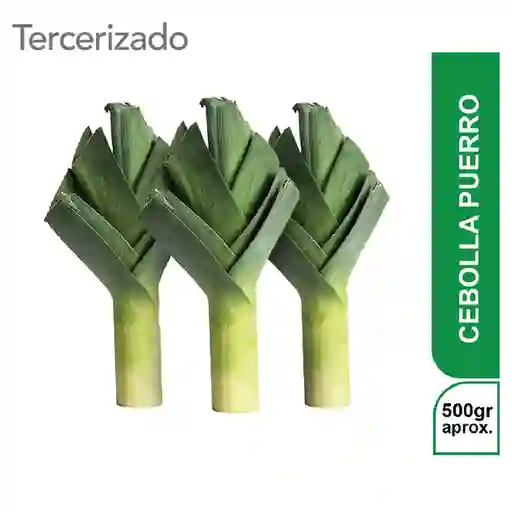 3 x Cebolla Puerro Turbo
