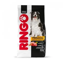 Ringo Alimento para Perro Adultos Premium Digestión Avanzada