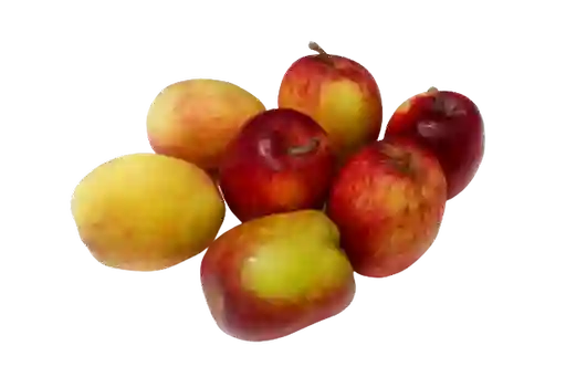 Manzana Agua Gruesa