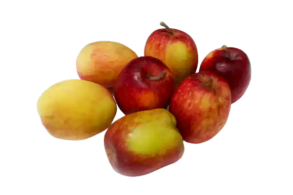 Manzana Agua Gruesa