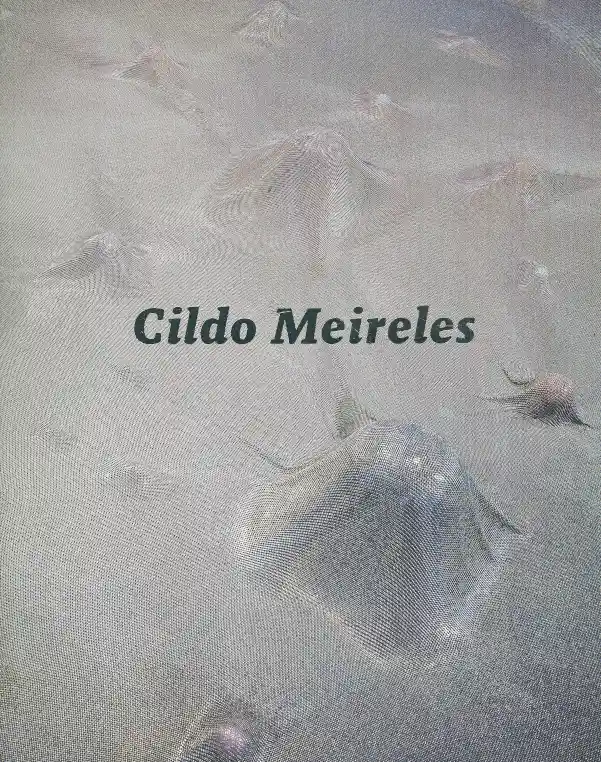 Cildo Meireles