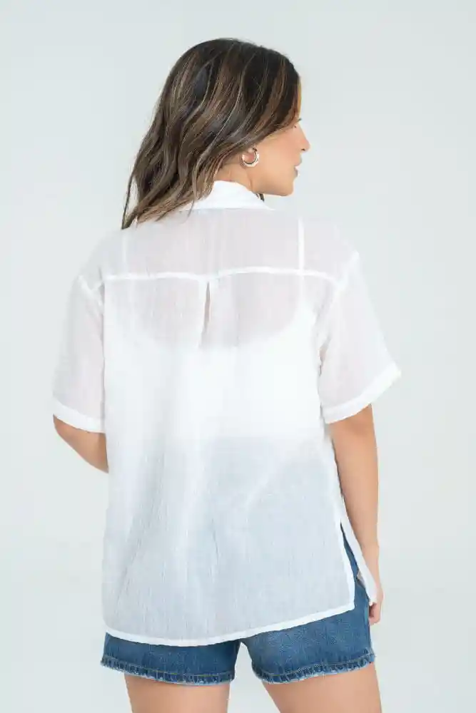 Bluson Cotton