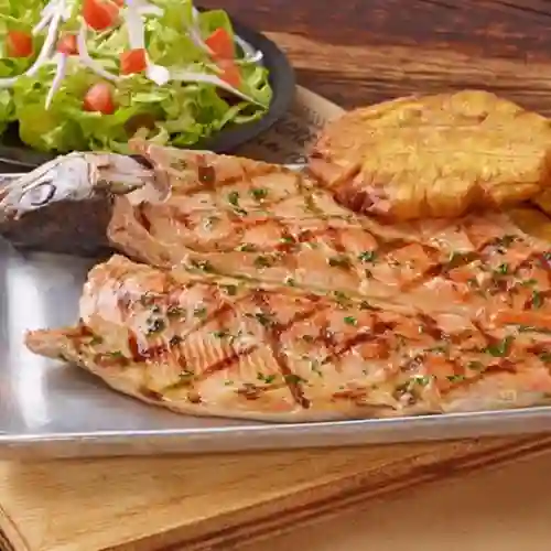 Trucha a la plancha