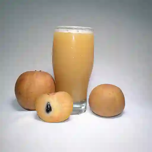 Jugo de Nispero 16 Oz