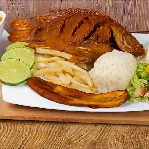 Bandeja con Tilapia