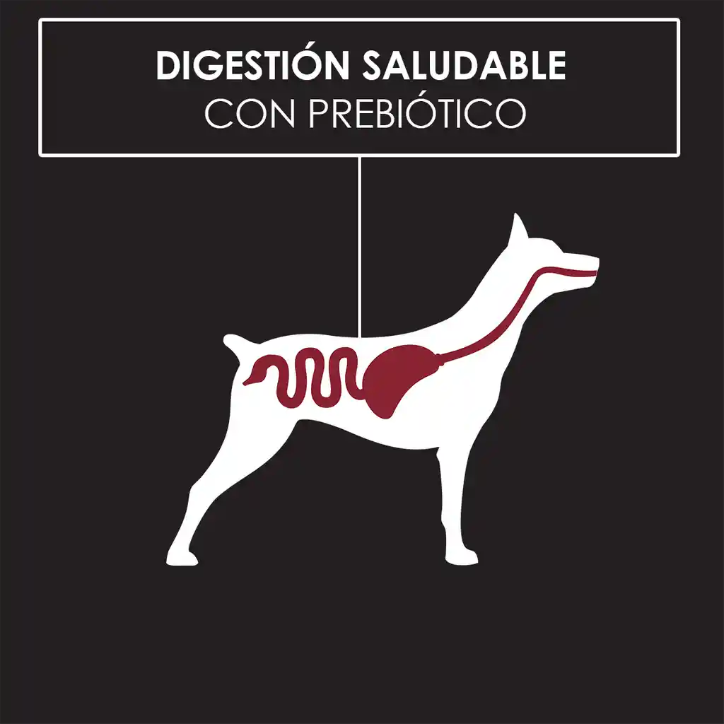 Comida húmeda para perros adultos sabor a carne Purina Pro Plan x 100gr