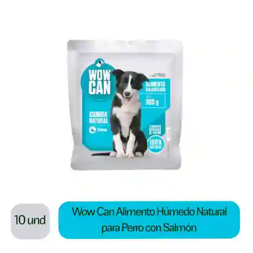 6 x Wow Can Alimento Húmedo Natural Para Perro Con Salmón