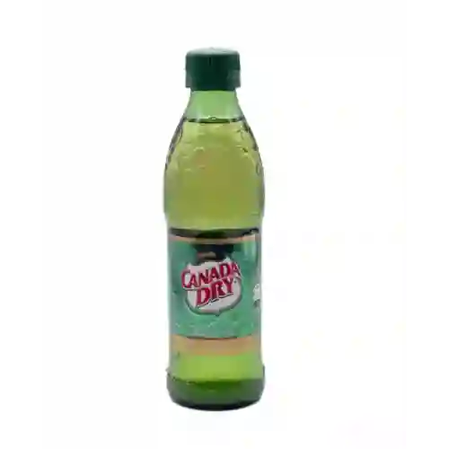 Ginger Canada Dry
