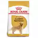 Royal Canin Alimento para Perros Golden Retriever Adultos