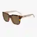 Knockaround Gafas Songbirds Tortoise