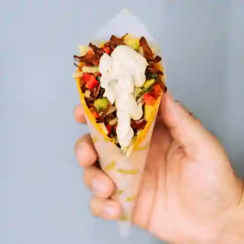 Koni de la Casa