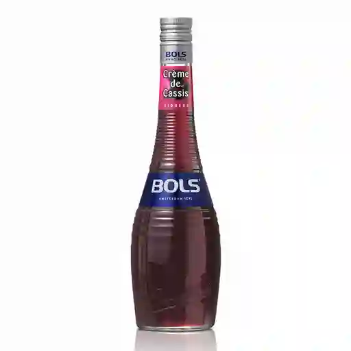 Bols Crema de Licor Sabor Cassis