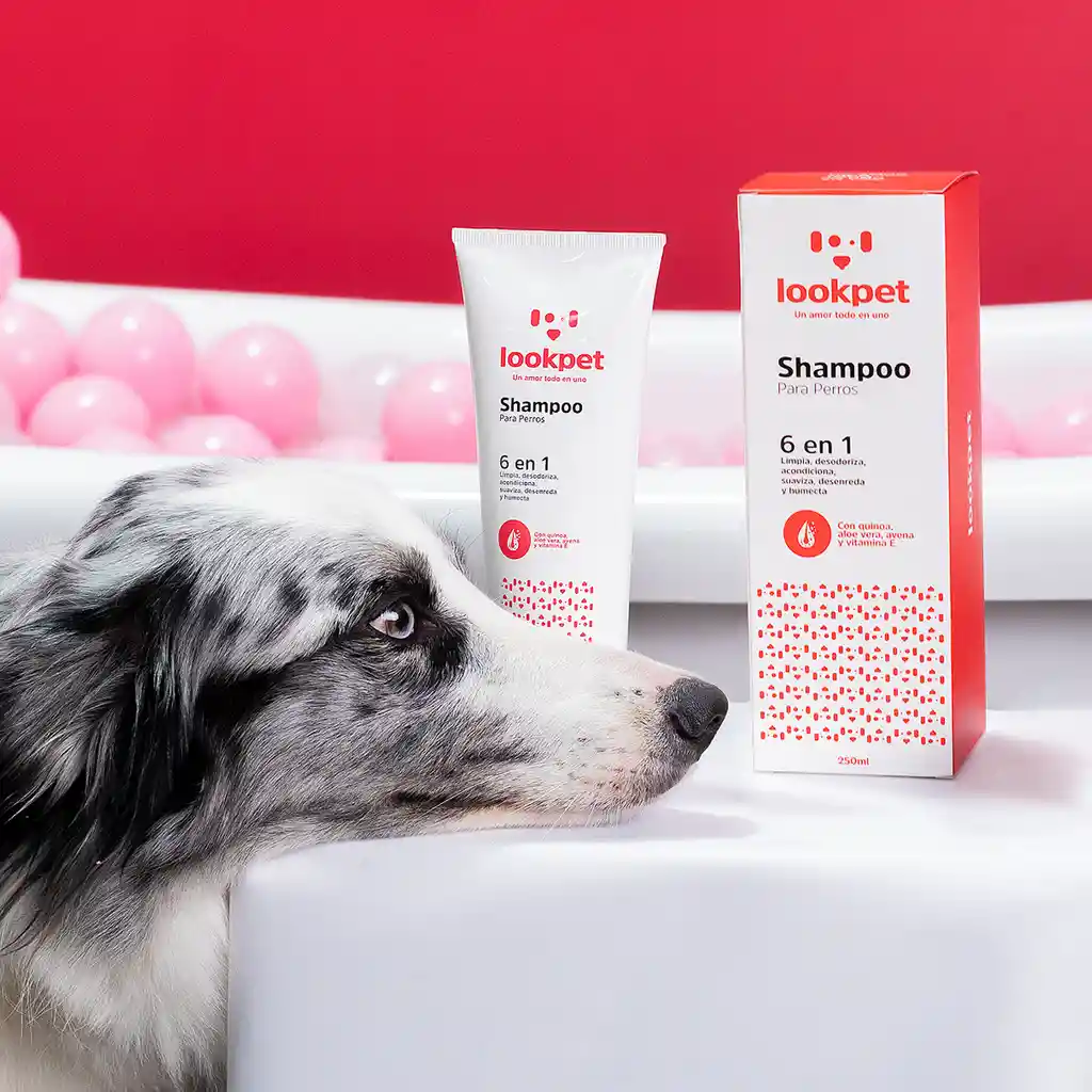 Lookpet Shampoo Para Perros 6 En 1 - 250ml