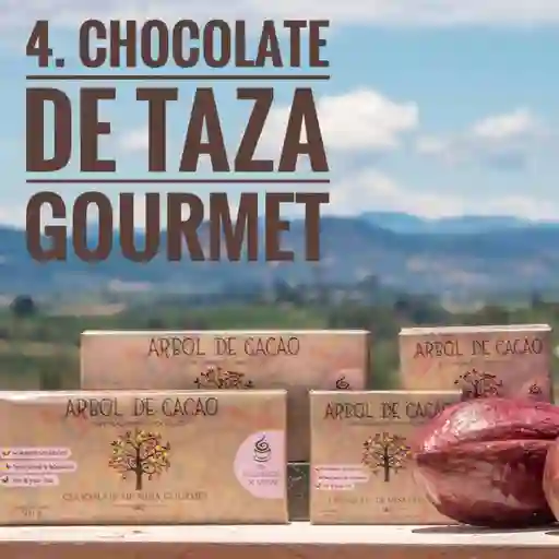 Chocolate de Tasa Gourmet