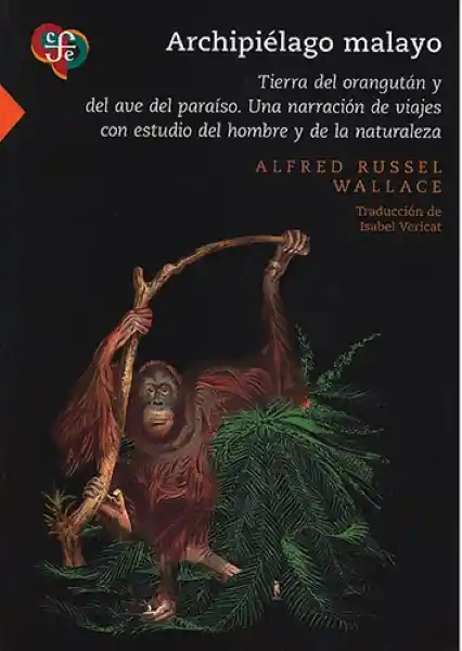 Archipiélago Malayo