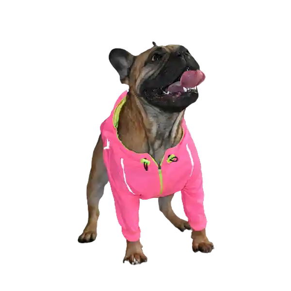 Gordogs Chaqueta Rompevientos Fuchsia Talla XS