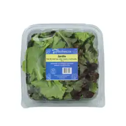 Biofresco Lechuga Orgánica Mix Temporada