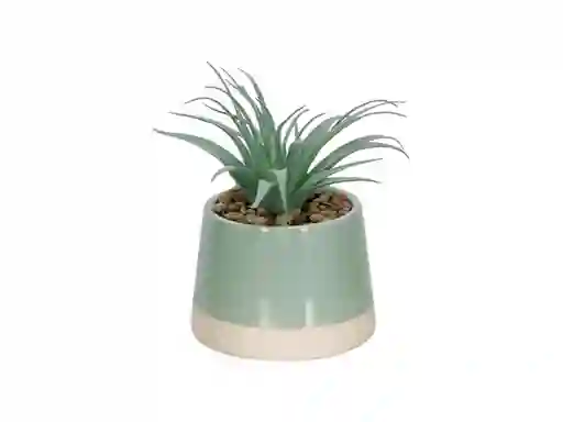 Maceta Cactus Dúo Celeste Casaideas