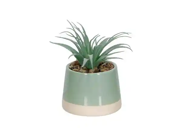 Maceta Cactus Dúo Celeste Casaideas