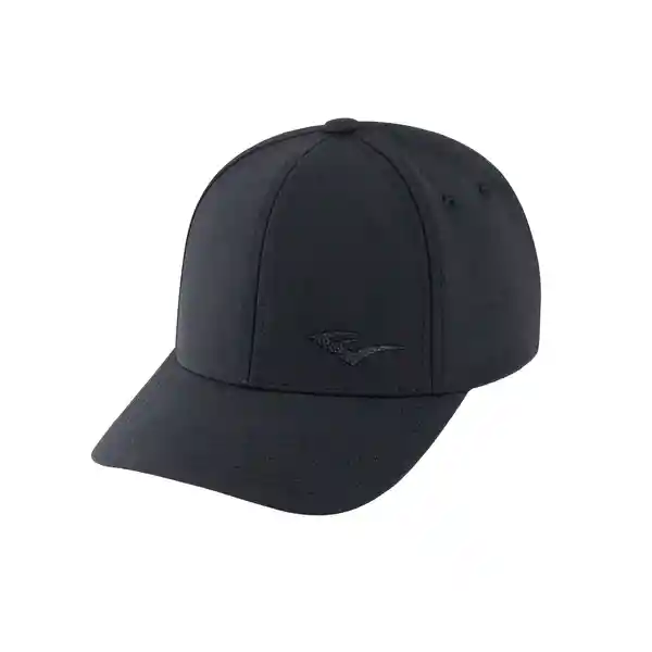 Gorra Econ Adjustable Negro Everlast