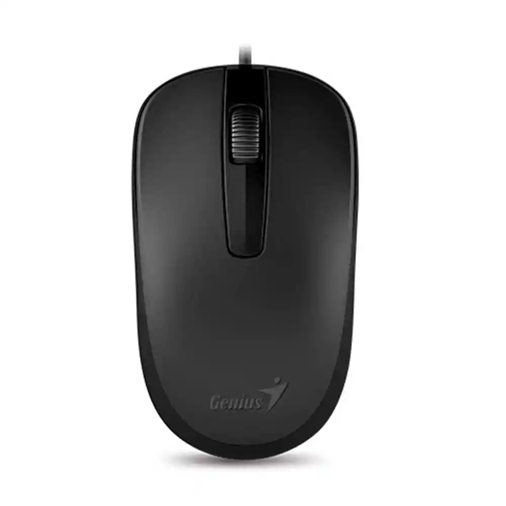 Genius Mouse Inalámbrico DX-120 USB