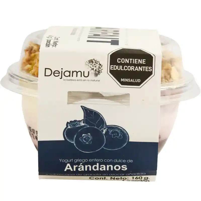 Dejamu Yogurt Griego Artesanal de Arándanos