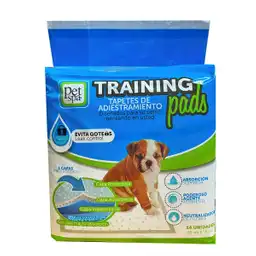 Pet Spa Tapete de Entrenamiento Tradicional para Perro 