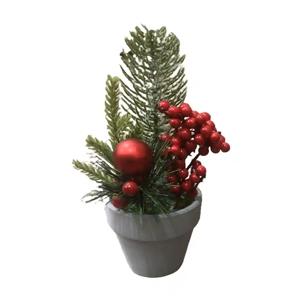 Planta en Maceta Krea