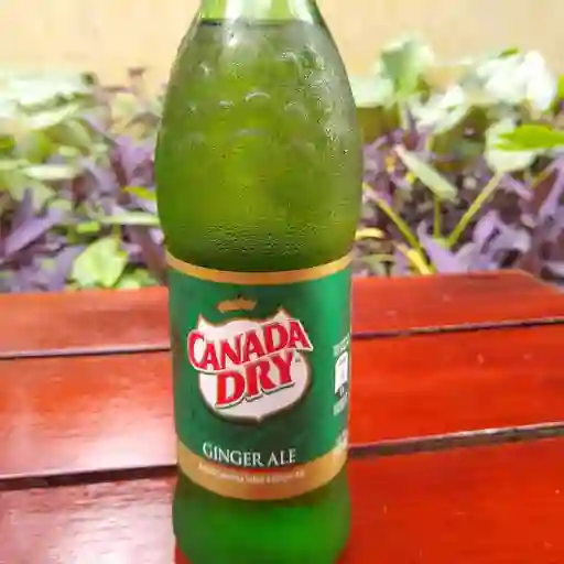 Ginger Ale Canada Dry 300 ml