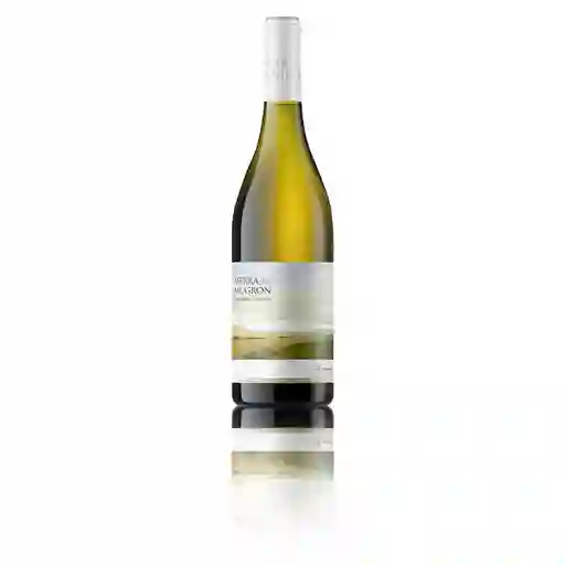Sierra del MugrónVino Blanco Bio