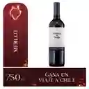 Casillero Del Diablo Vino Tinto Merlot