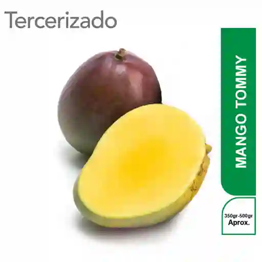Mango Tommy Turbo