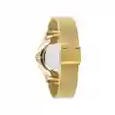 Reloj Alex Mujer Dorado 1782245 Tommy Hilfiger