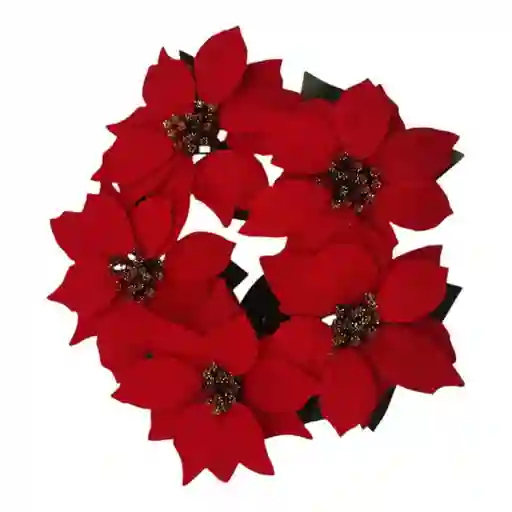 Corona Ponsetia Roja 1403500052 Finlandek