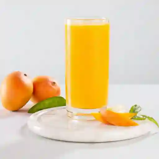 Jugo de Mango 14 Oz