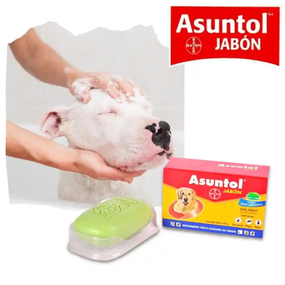 Asuntol Jabón Insecticida para Perros