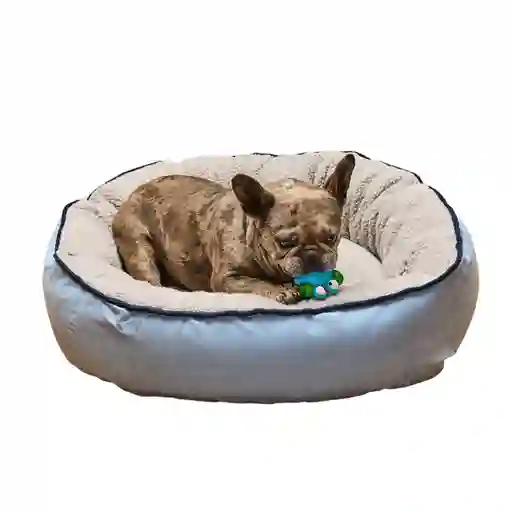 Kanu Cama Redonda Azul Celeste Para Perro L Pet