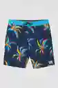 ONeill Short de Baño Grove Flow Cruzer Am Azul Talla 30