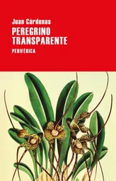 Peregrino Transparente - Periférica