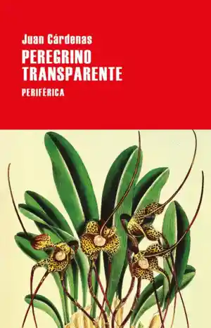 Peregrino Transparente - Periférica