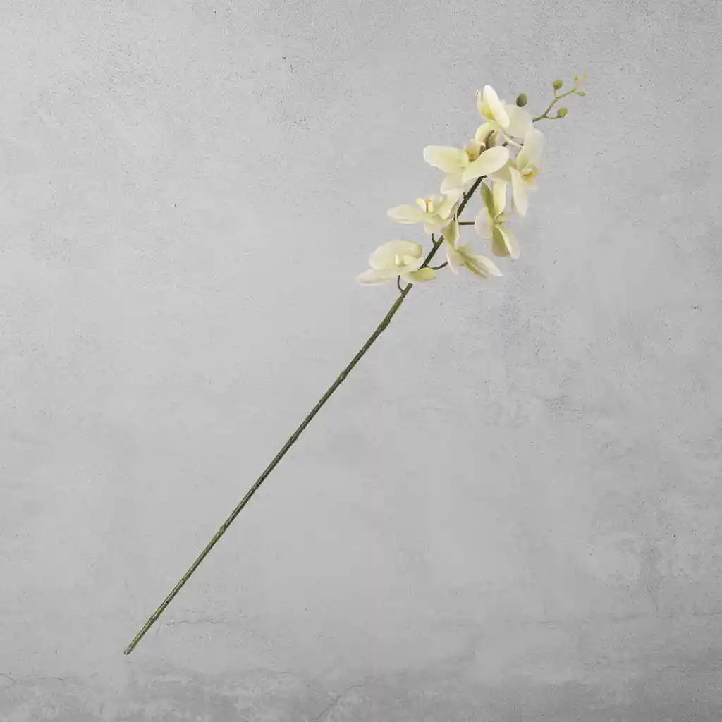 Ambiente Gourmet Flor Orquídea Verde