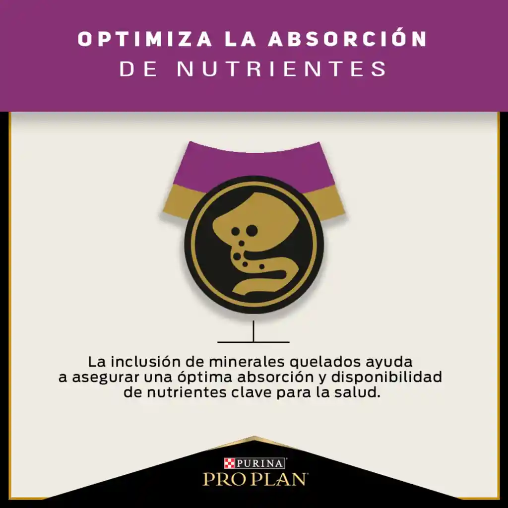 Comida para Gatos Adultos cuidado urinario Purina Pro Plan x 3 kg