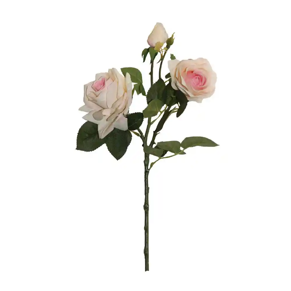 Rosas Gio Home Durazno