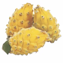 Pitahaya
