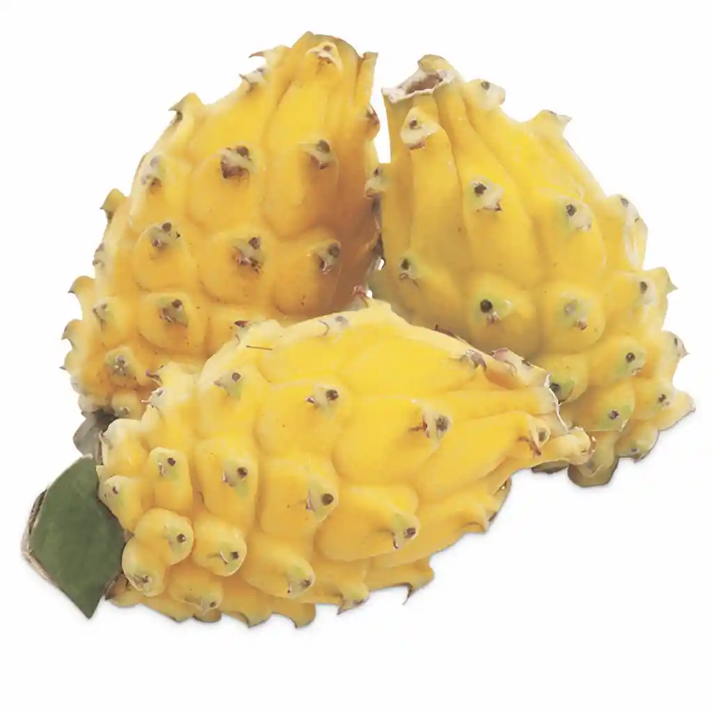 Pitahaya