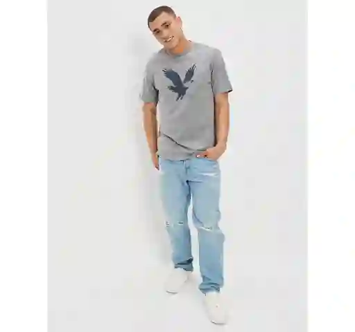 Camiseta Hombre Color Gris Talla X-SMALL American Eagle