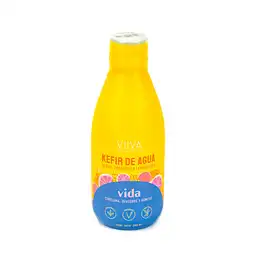 Viiva Fermentado Keffir Agua Vida