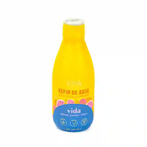 Viiva Fermentado Keffir Agua Vida