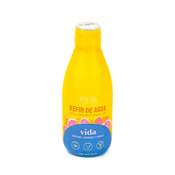 Viiva Fermentado Keffir Agua Vida